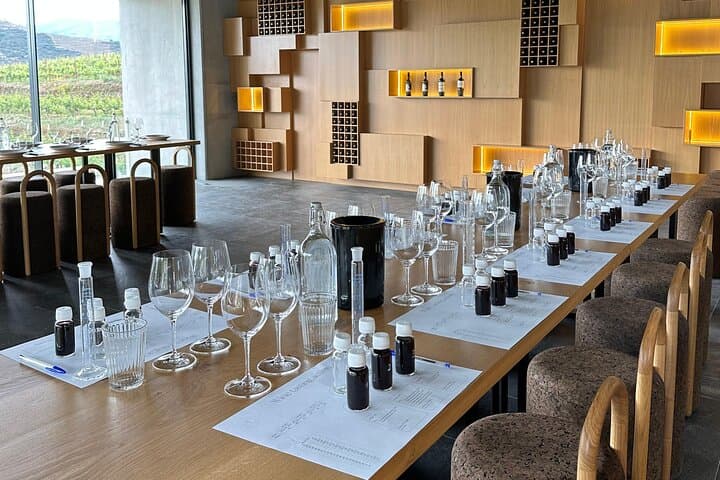 Douro Valley Guided Tour of 3 Vineyards with Lunch from Porto photo 2