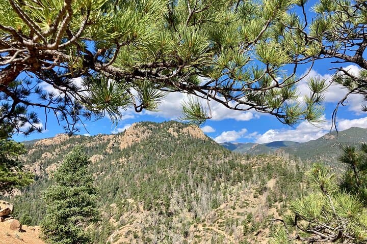 Creek-to-Peak Hike: Mt Cutler Summit Trail in Colorado Springs photo 5