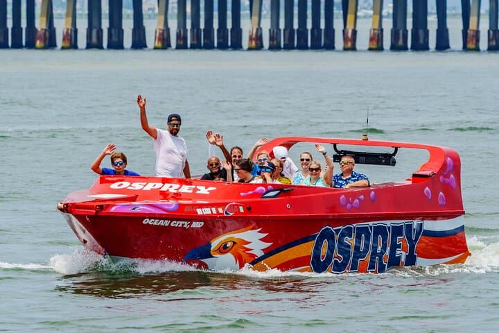 Osprey Jet Boat Ride in Assawoman Bay — High-Speed Spins, Ospreys & Dolphin Sightings photo 2