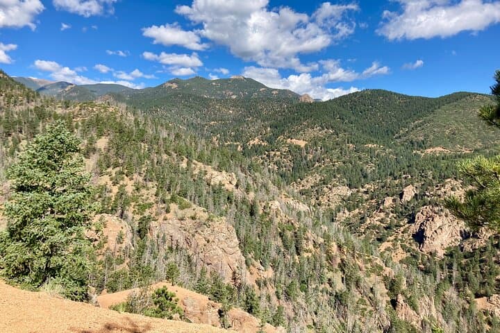 Creek-to-Peak Hike: Mt Cutler Summit Trail in Colorado Springs photo 6