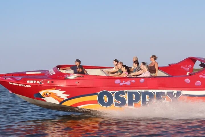Osprey Jet Boat Ride in Assawoman Bay — High-Speed Spins, Ospreys & Dolphin Sightings