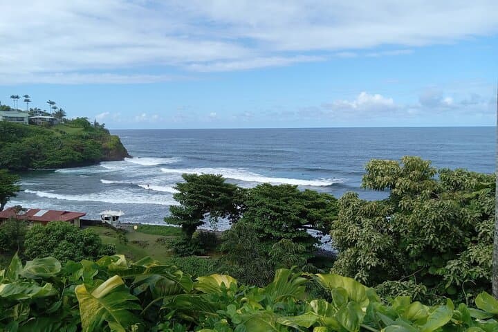 Explore Hawaii’s Big Island in a Day: Volcanoes, Waterfalls, and Black Sand Beaches photo 4