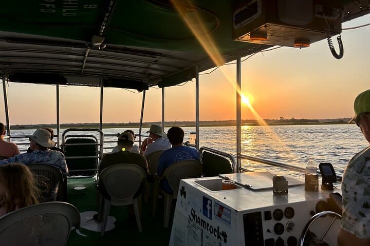 Wrightsville Beach Sunset Dolphin Cruise & Dolphin Watching Tour photo 3