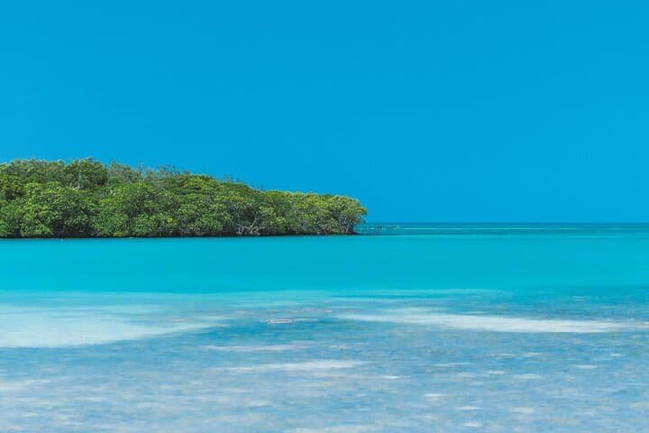 Island Hopping from Hopkins: South Water Caye Marine Reserve Day Tour