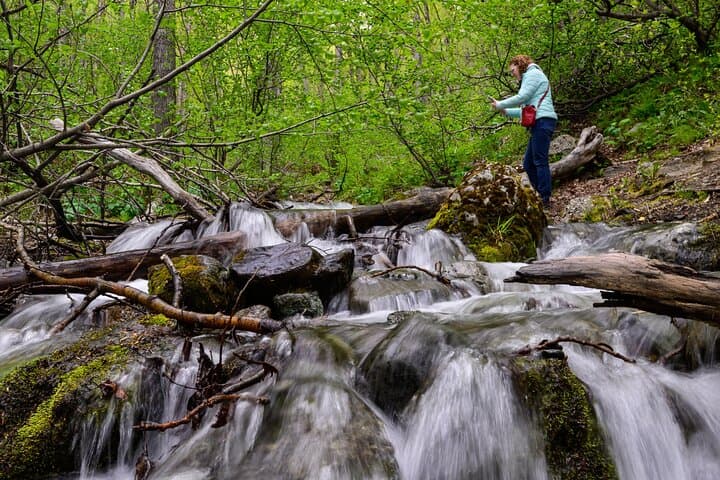 Turnagain Arm Highlights Photo Tour: Off-the-Beaten-Path Alaska Photo Workshop