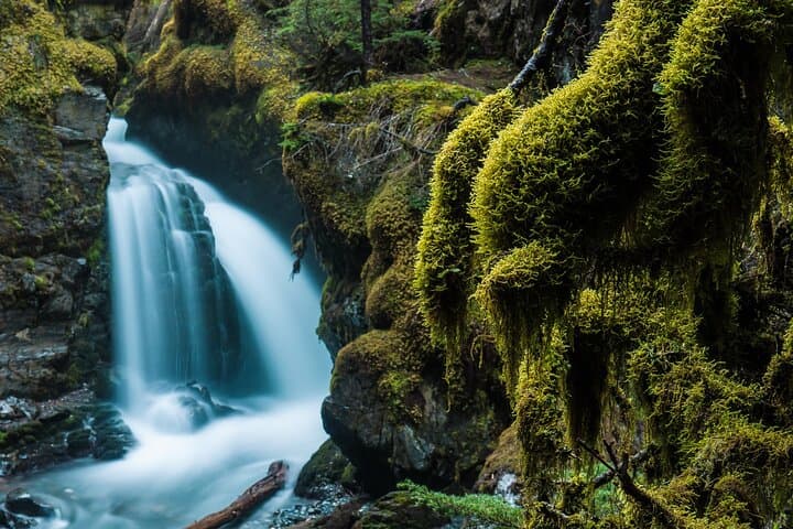 Turnagain Arm Highlights Photo Tour: Off-the-Beaten-Path Alaska Photo Workshop photo 2