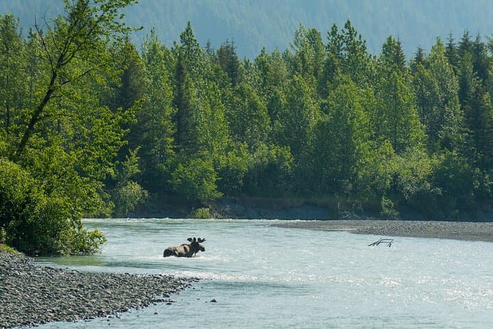 Turnagain Arm Highlights Photo Tour: Off-the-Beaten-Path Alaska Photo Workshop photo 5