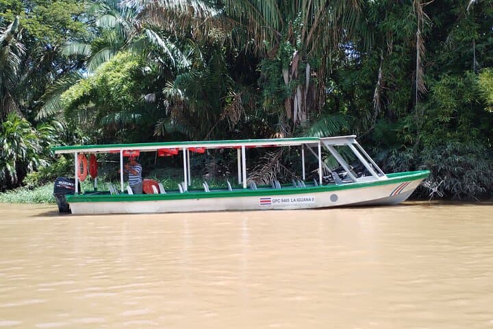 Palo Verde National Park Tour: Tempisque River Wildlife & Cultural Experience