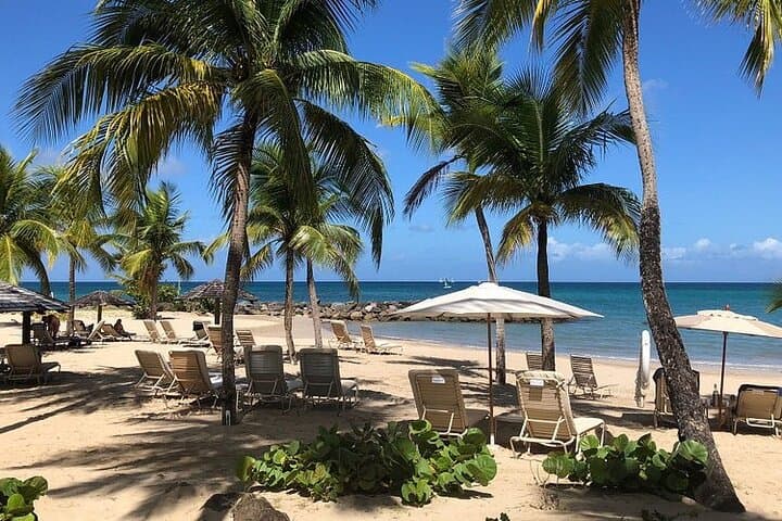 Island Flavors and Views: Castries Rum, Bananas & Beach Day in Saint Lucia