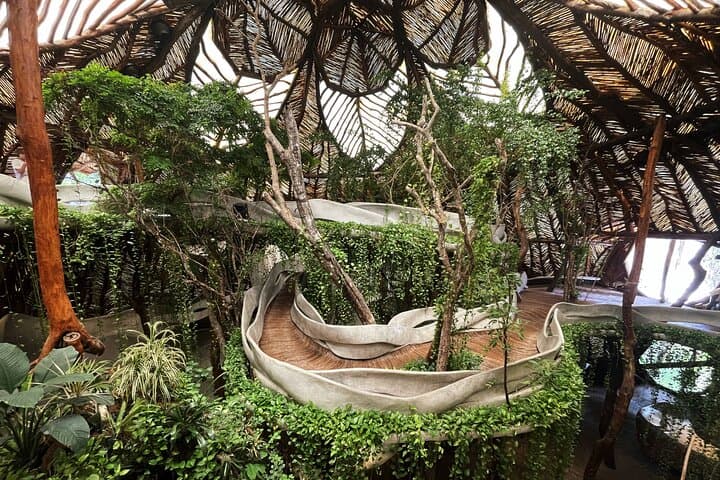 Explore Tulum Highlights Early: Easy, Crowd-Free Maya Ruins and Cenotes photo 6