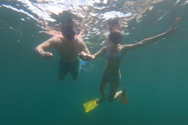 Rincón Sunset Snorkel: Twilight Marine Life Tour in Puerto Rico photo 3