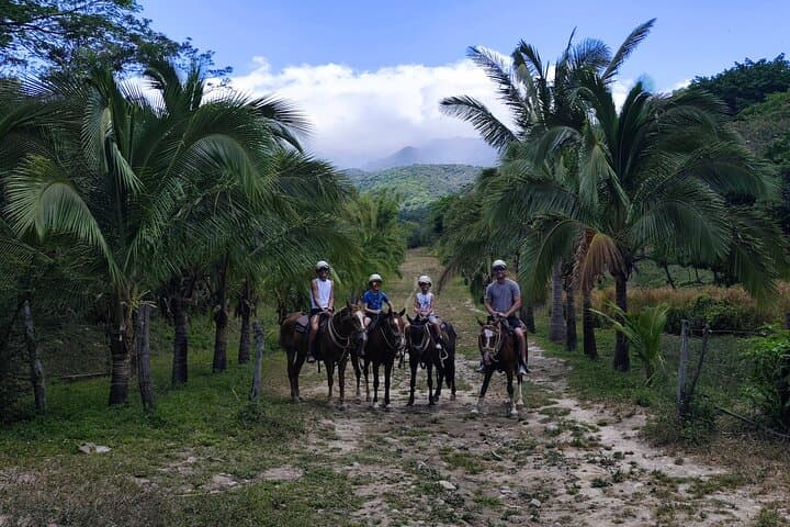 Multi-Adventure Tour in Guanacaste: Rincón de la Vieja Day Trip from Tamarindo photo 4