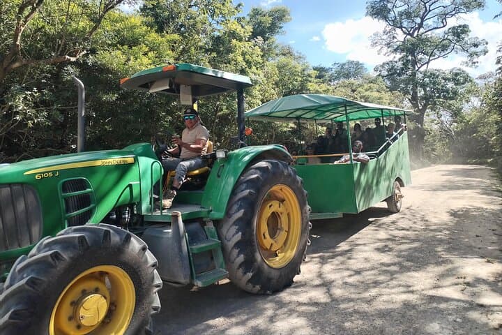 Multi-Adventure Tour in Guanacaste: Rincón de la Vieja Day Trip from Tamarindo photo 5