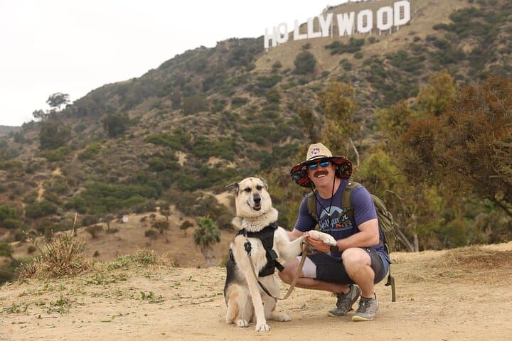 Sunset Hike Behind the Hollywood Sign with Comedians and Dogs photo 2