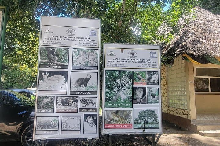 Jozani Forest, Kuza Cave & Paje Beach Private Tour — Monkeys, Caves and The Rock photo 4