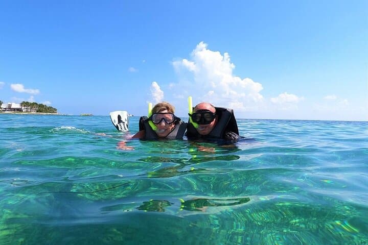 Discover El Cielo & Cozumel: Full-Day Snorkel to Palancar, Columbia and Cielo Reefs photo 5