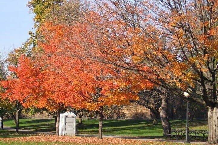 Connecticut Maple Foliage Day Tour: Mystic & Sleeping Giant From NYC photo 6