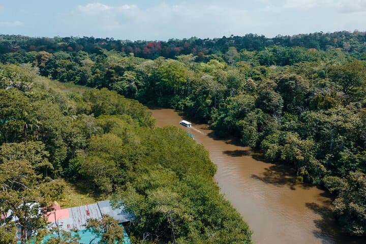 Cahuita to Tortuguero: 6-in-1 Wildlife, Canals & Caribbean Culture Day Tour photo 6