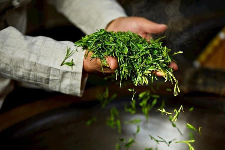 Longjing Tea Village: Authentic Hangzhou Dragon Well Tea Culture Experience