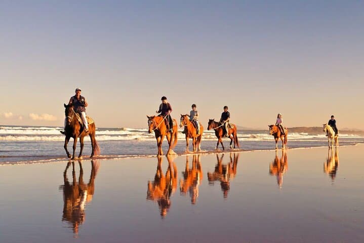 Cape Town Beach Horse Ride: Ocean & Mountain Trails with Hotel Pickup
