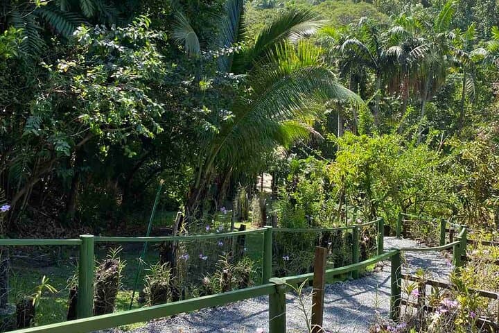 Half-Day Nadi Cultural & Nature Tour: Temple, Markets, Orchids & Mud Pools photo 1