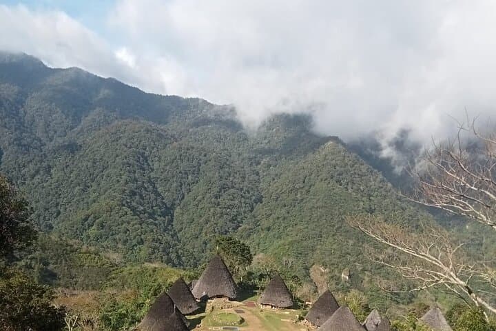 Wae Rebo Trek: Overnight at Mbaru Niang on Flores photo 4