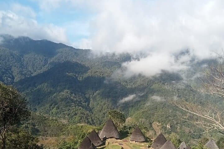 Wae Rebo Trek: Overnight at Mbaru Niang on Flores photo 5