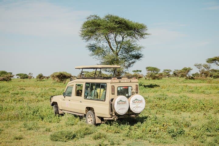 4-Day Private Tanzania Safari: Tarangire, Ngorongoro & Arusha Highlights photo 1