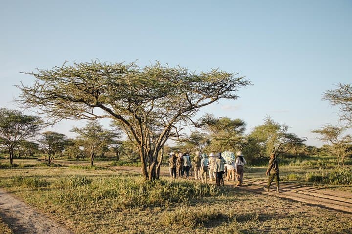 4-Day Private Tanzania Safari: Tarangire, Ngorongoro & Arusha Highlights photo 2