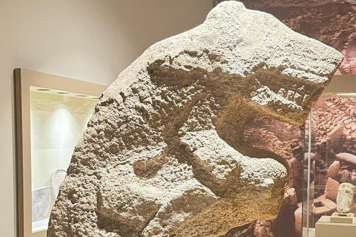 Göbeklitepe Day Tour from Istanbul — Flight to the World's Oldest Temple photo 4