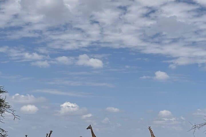 Ride Between Kilimanjaro and Meru: 2-Day Cycling Adventure from Moshi photo 6