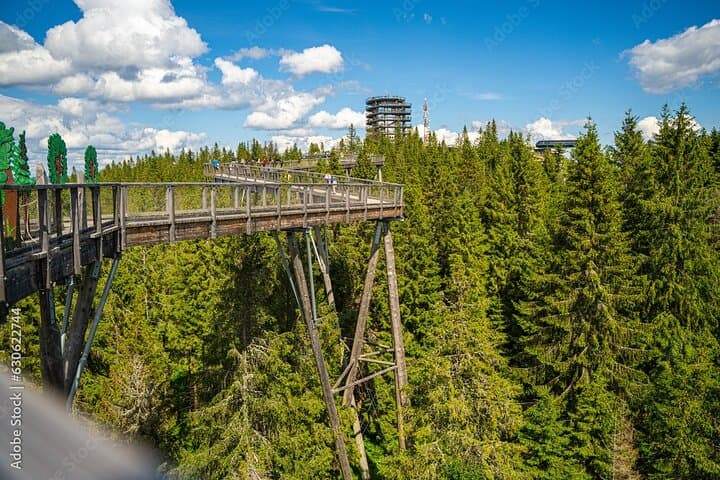 Dunajec River Gorge Rafting & Bachledka Treetop Trail Day Trip from Krakow photo 4