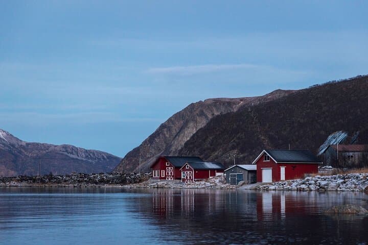 Express Fjord Road Trip to Ersfjordbotn from Tromsø photo 6