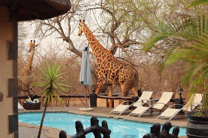 3-Day African Rock Lodge Safari: Kruger, Moditlo & Blue Canyon