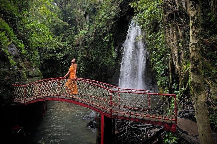 Ubud Private Tour: Rice Terraces, Jungle Swing & Hidden Waterfalls photo 5