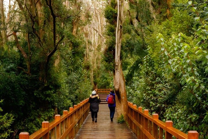 Bariloche 4-Day Mountains and Lakes: Circuito Chico, Arrayanes & Cerro Tronador photo 3
