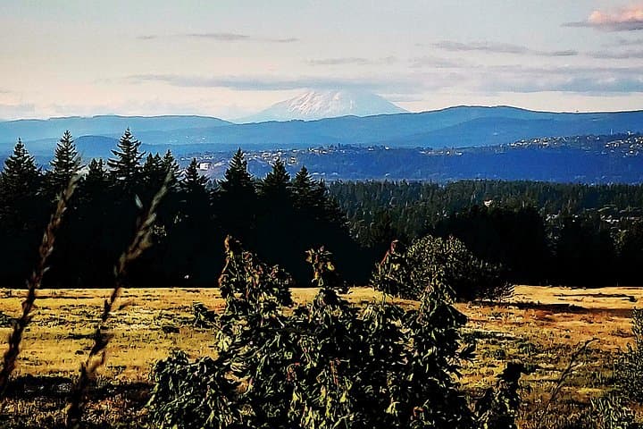 Powell Butte Outdoor Tea Ceremony Hike — Portland Tea Party Experience photo 4