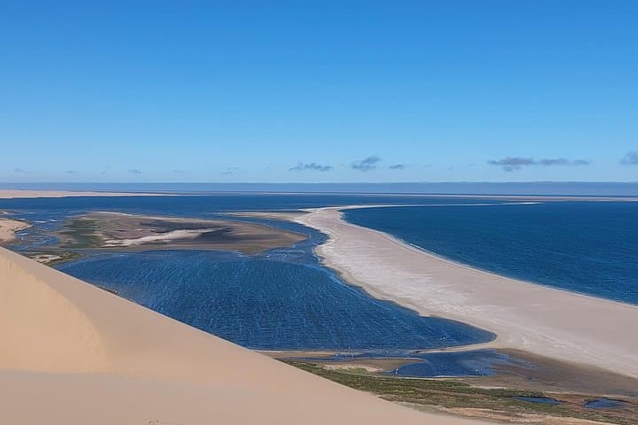 Sandwich Harbour Full-Day 4x4 from Walvis Bay — Dunes, Flamingos & Seal Colonies photo 2