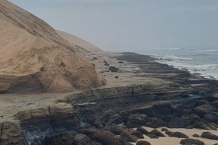 Sandwich Harbour Full-Day 4x4 from Walvis Bay — Dunes, Flamingos & Seal Colonies photo 4