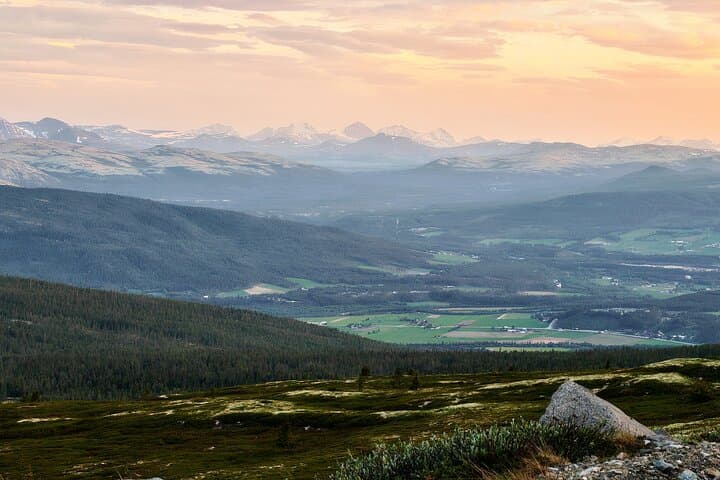 Tronfjell VIP Car Tour from Alvdal — Summit Views, Free Lunch & Pro Photos photo 3