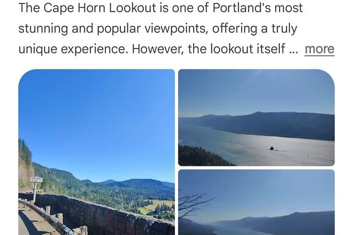 Cape Horn Overlook Photography Stop — Quick Columbia Gorge Scenic Tour photo 6