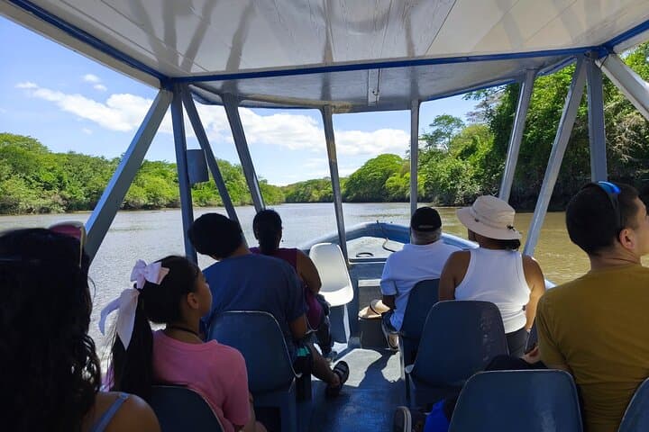 Palo Verde National Park Tour: Tempisque River Wildlife & Cultural Experience photo 2
