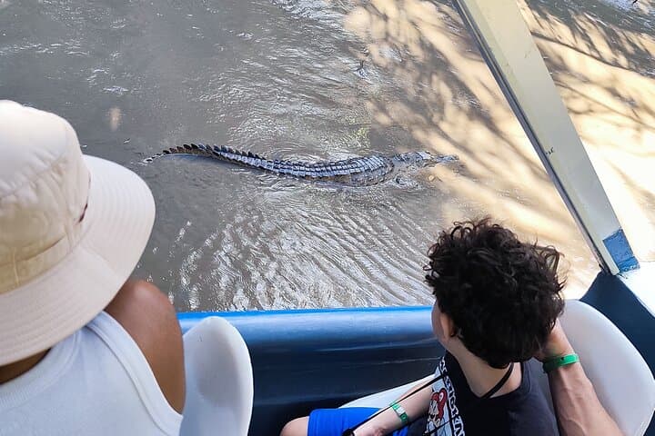 Palo Verde National Park Tour: Tempisque River Wildlife & Cultural Experience photo 4