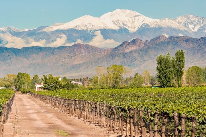 Mendoza in Four Days: Wine Tours, High-Andes Views & Local Flavors