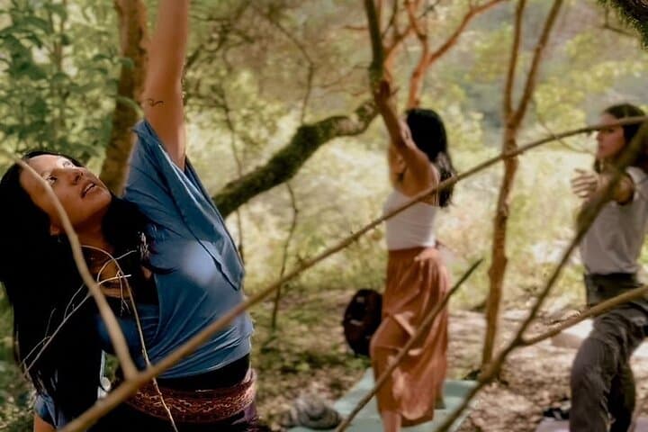 Sacred Valley Private Yoga and Sonotherapy — Forest Healing Near Cusco photo 4