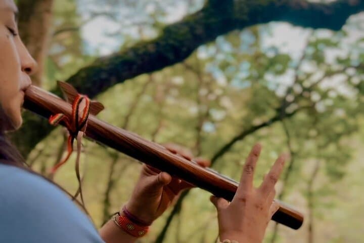 Sacred Valley Private Yoga and Sonotherapy — Forest Healing Near Cusco photo 6