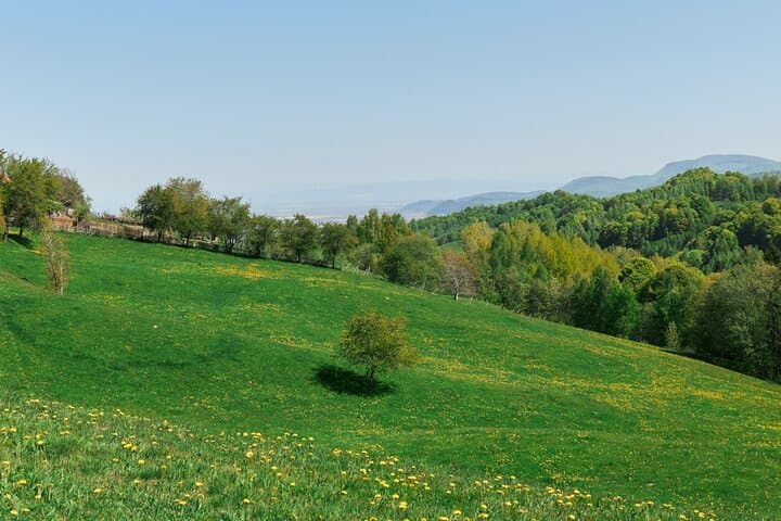 Three Counties Off‑Road Trail: Full-Day Suzuki Jimny Adventure from Bucharest photo 4