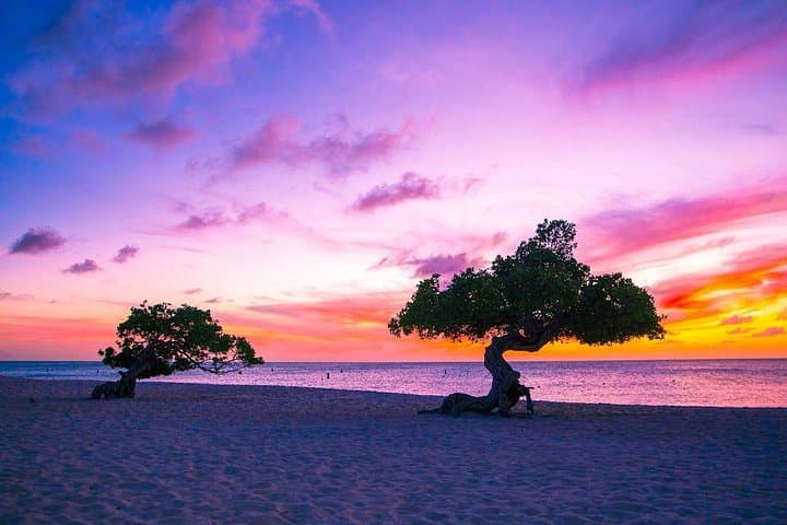 Aruba Island Tours & Party Bus Adventures: Coastal Views to Nightlife photo 2