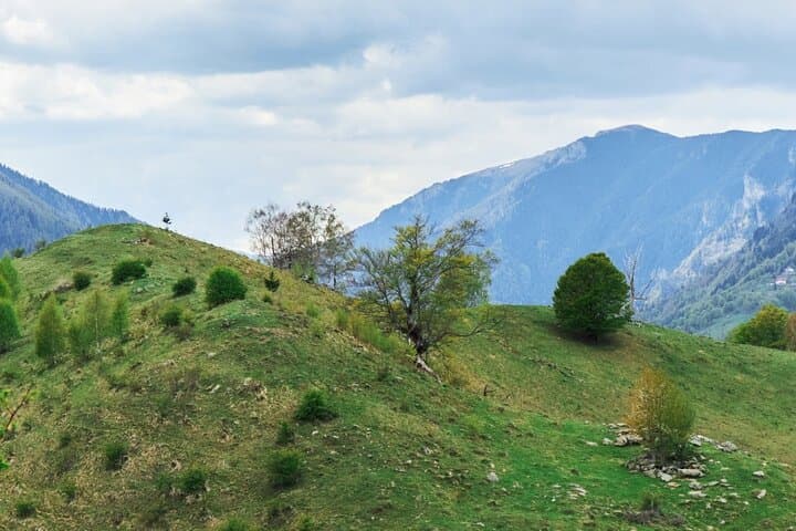 Off‑Road Adventure from Bucharest to Nehoiu — Penteleu 4x4 Day Trip photo 3