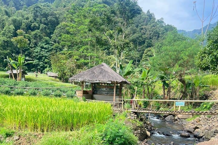 Waterfall Hike and Tangkuban Parahu Volcano Hot Spring Day Trip from Jakarta photo 5